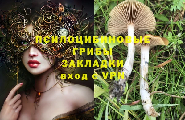 jwh Карпинск