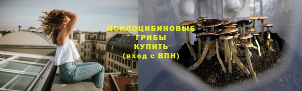 spice Касимов