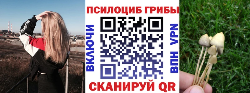 Галлюциногенные грибы мухоморы  Купить  Дно 