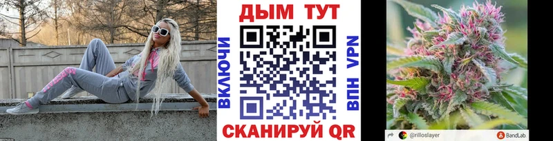 Купить  Дно  Конопля сатива 